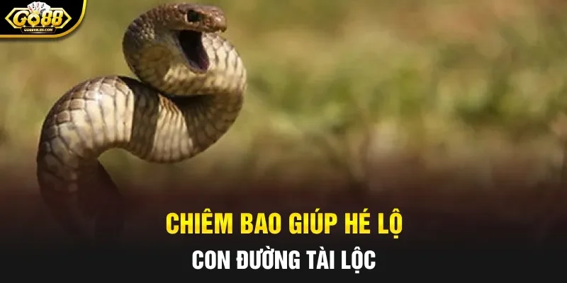 Chiêm bao giúp hé lộ con đường tài lộc