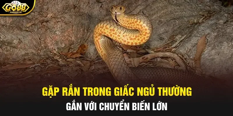 Gặp rắn trong giấc ngủ thường gắn với chuyển biến lớn
